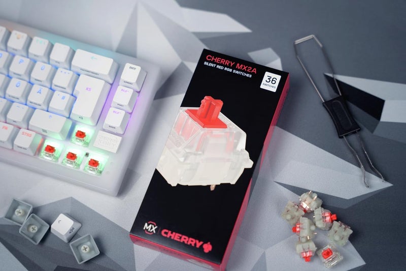 Cherry MX RGB Switch Kit | 10 Mechanical Keyboard Switches | DIY, Hot Swap or Gaming Keyboard | Experience Kit Color Samples MX2A (MX2A Color Sample) - Image 3